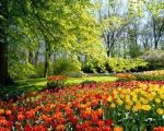 Aria d�Aprile